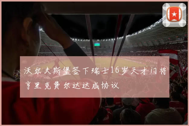 沃尔夫斯堡签下瑞士16岁天才门将亨里克费尔达达成协议
